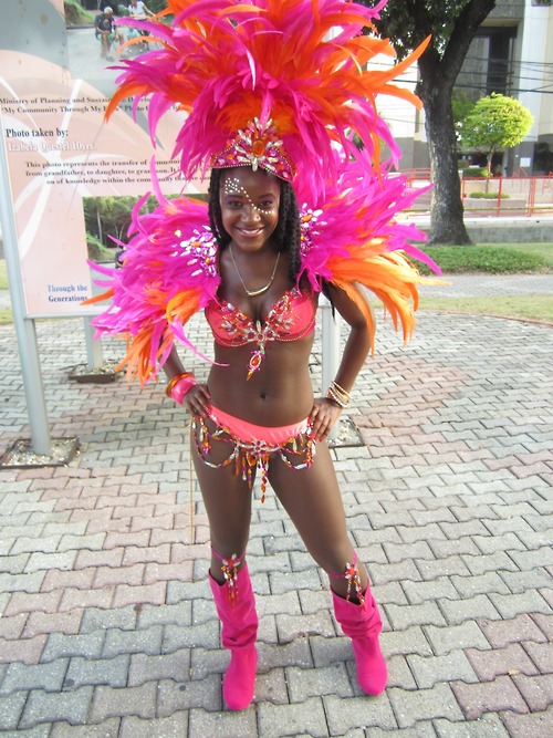 Trinidad Carnival 2014