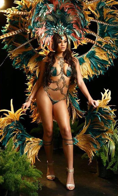 island people carnival 2015