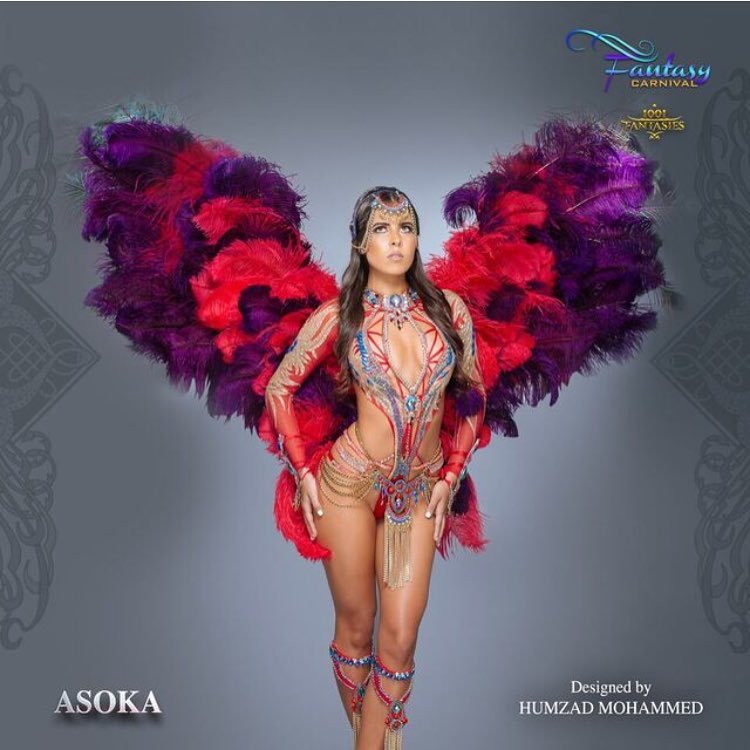 Asoka Fantasy Carnival 2017