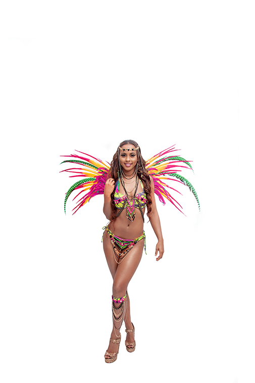 Yuma Vibe Anhinga Backline