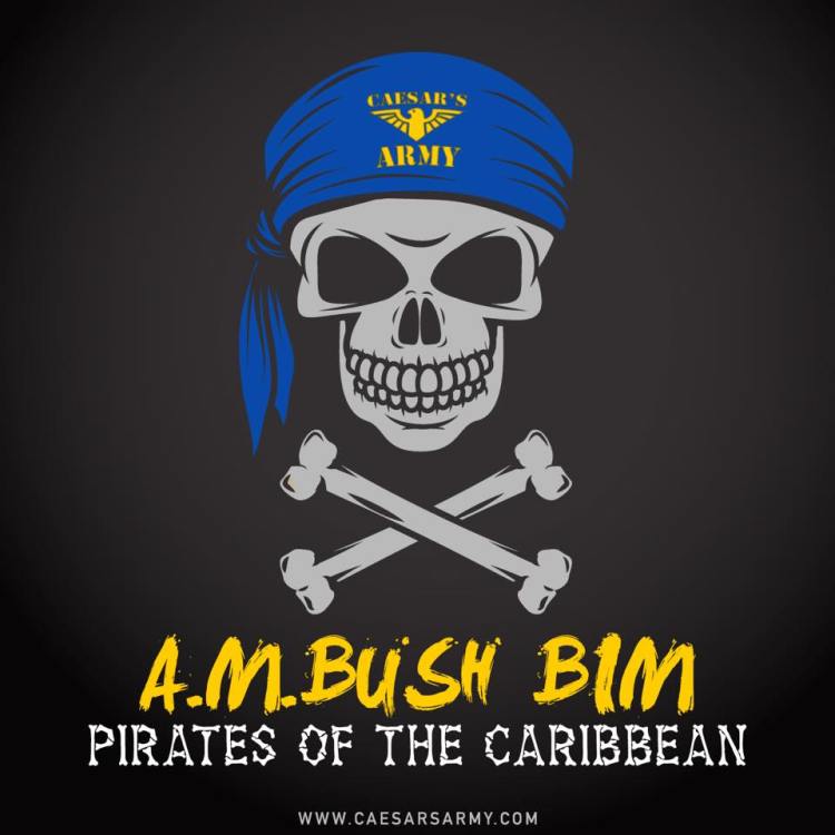 Ambush BIM