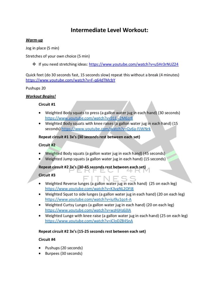 Online Workouts (cv)-page-003