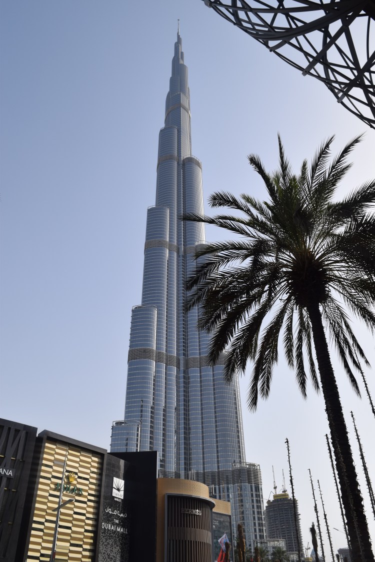 DSC_0017