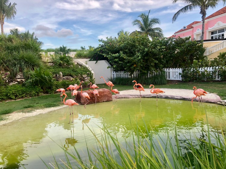 Bahamas Vacation 2018